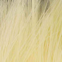 FFGene piume di marabù XXL Blood Quill (+15 cm)