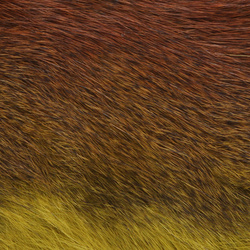 Wapsi Whole Pine Squirrel Skin