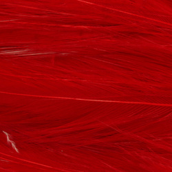 Hareline Piume hackle del collo per acqua salata