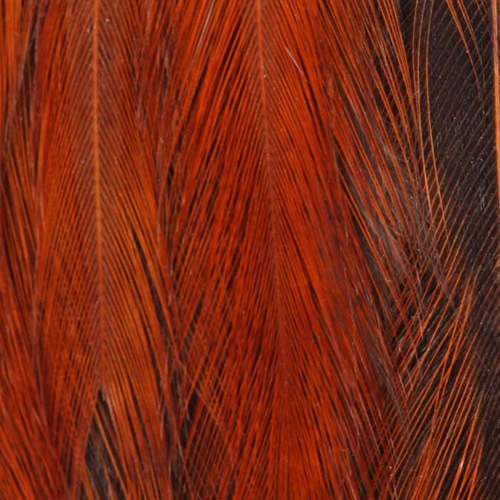 Flery Brown