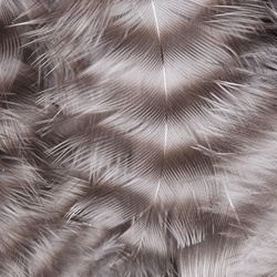 Hareline Piume da hackle morbida Grizzly
