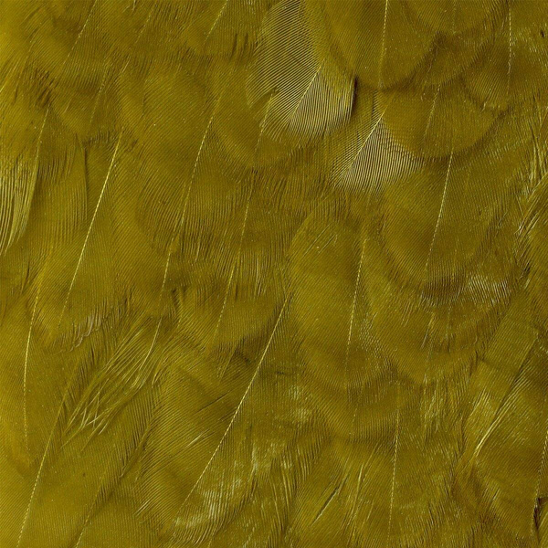 Pezza di sella di gallina Wapsi