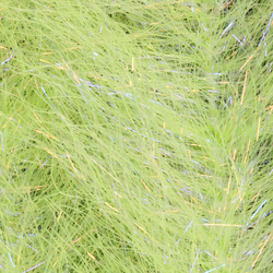 Brush da streamer H2O Flash Blend Baitfish Brush 1 inch (flash)