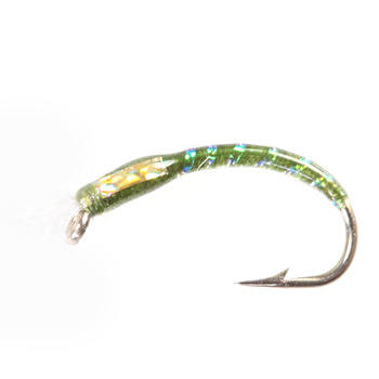 Corpo in vetro del cicalino Verde oliva