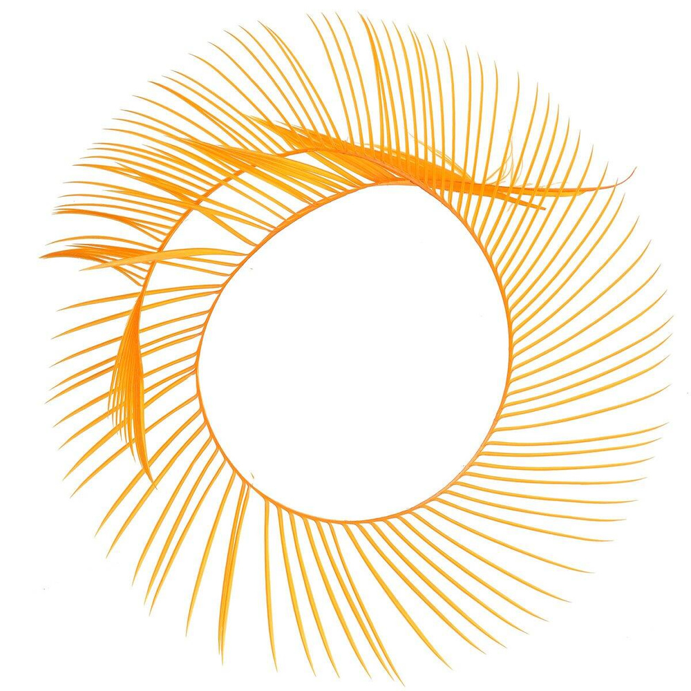 Sunburst Yellow