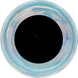 Occhi per mosche FFGene Soft 3D- Eyes