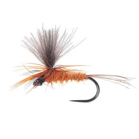 CDC Parachute Rusty Brown