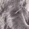 Grizzly