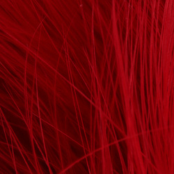 FFGene piume di marabù Blood Quill (10-12 cm)
