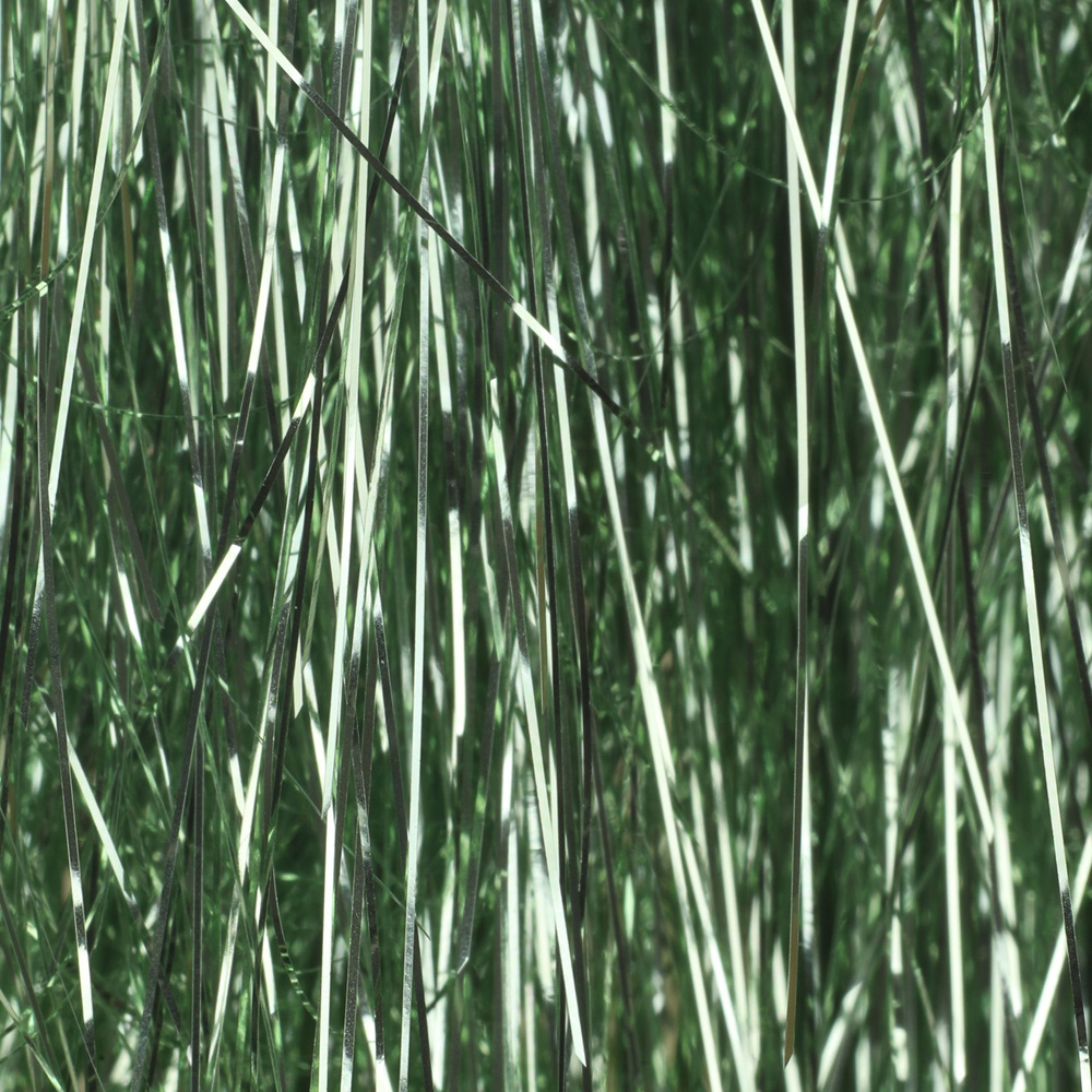 Ice Green