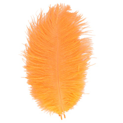 FFGene Piume hackle di struzzo