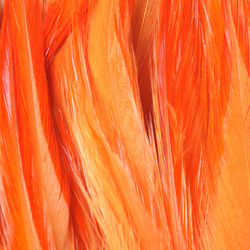 FFGene Hackle di sella di gallo in mazzo