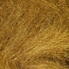 Yellow Olive
