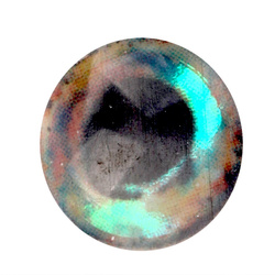 Occhi per mosche H2O Lightweight Rainbow Dumbells