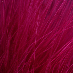 FFGene piume di marabù XXL Blood Quill (+15 cm)