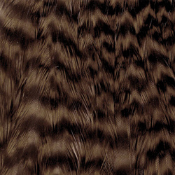 Collo di gallina Wapsi Grizzly