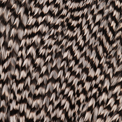 FFGene Howard Hackle Capes #3