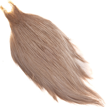 Collo di gallo Metz #2
