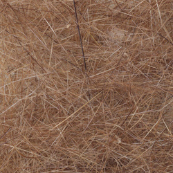 FFGene Nutria Dubbing