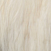 Prime - White/Cream
