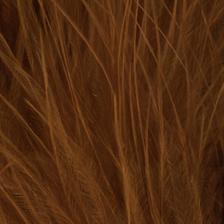 FFGene piume di marabù Blood Quill (10-12 cm)
