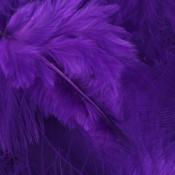 Metz Piume da hackle morbida