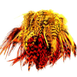 FFGene Piume di sella di gallo Chinchilla