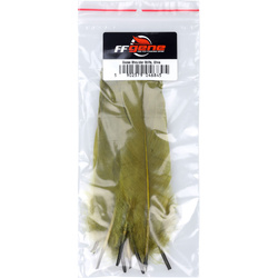 FFGene Piume rigide della spalla d’oca