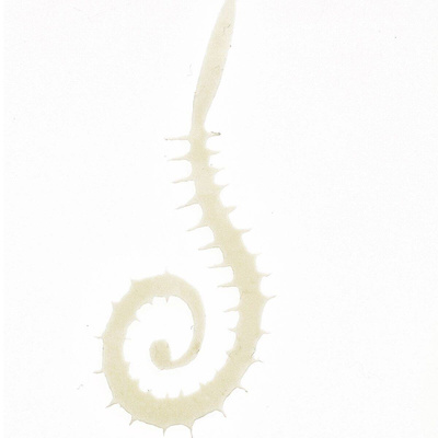 Large 1/0 And Up - White