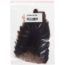 Sella di gallina FFGene India