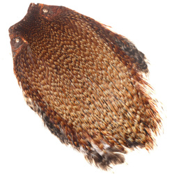 Collo di gallo FFGene India classe Top