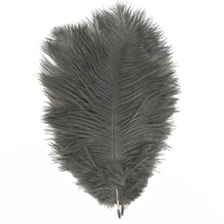 FFGene Piume hackle di struzzo