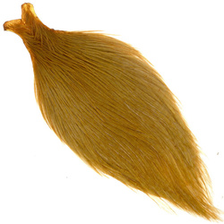 Collo di gallo intero Ewing