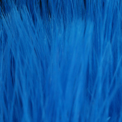 FFGene Wooly Bugger piume di marabù Blood Quill (7-10 cm)