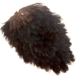 Sella di gallina FFGene India