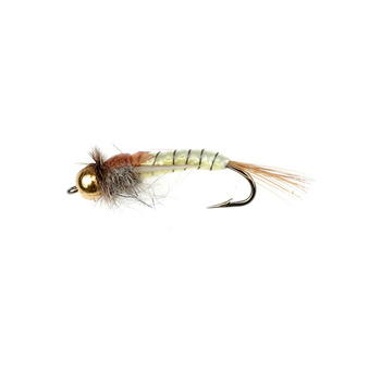 Tung. BH PL Wowen Stone Fly Giallo (308)