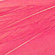 Sheel Pink White