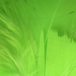 Hareline Premo Turkey Flats