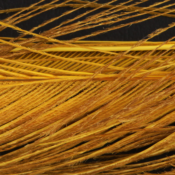 FFGene piume a spada della coda di pavone sbiancate