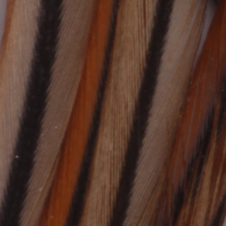 Spirit River UV2 Whiting Hackle