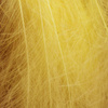 Golden Olive