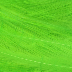 Hareline Piume hackle del collo per acqua salata
