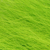 Fl. Chartreuse