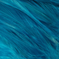 Hareline Piume hackle del collo per acqua salata