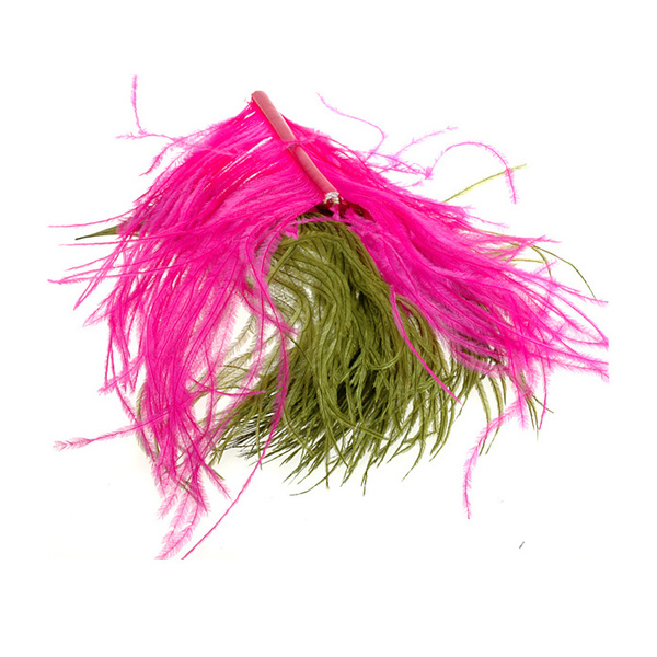 FFGene Piumaggio di struzzo