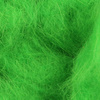 Insect Green