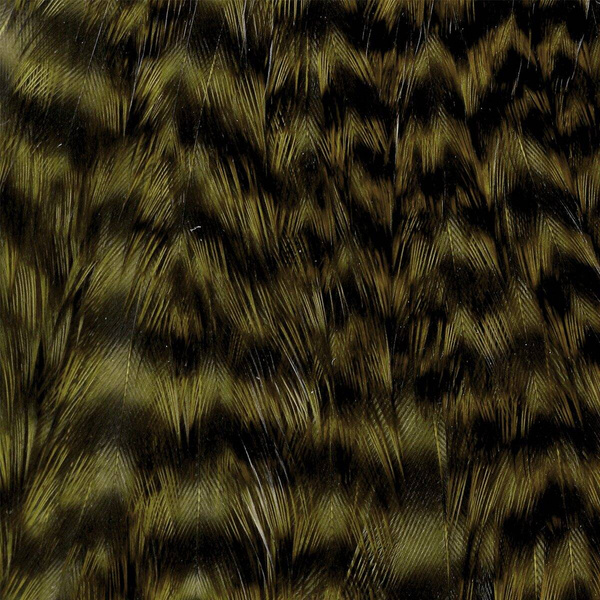 Collo di gallina Wapsi Grizzly