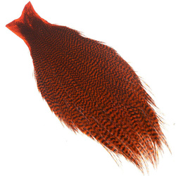 Ewing Grizzly Whole Capes