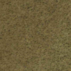 Schiuma pelosa Hareline