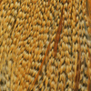Barred Ginger